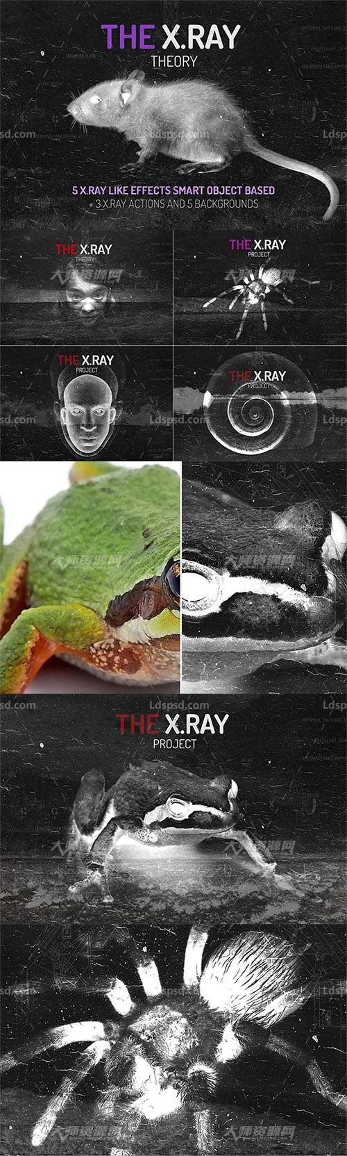 The X.RAY Theory,极品PS动作－X射线效果(含PSD模板)